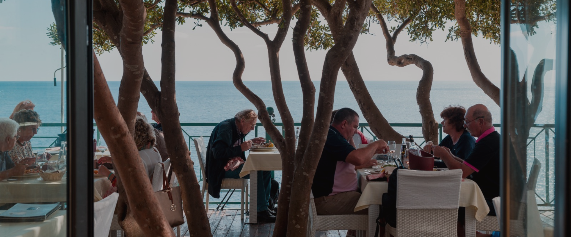 Diseño sin título - 2024-08-05T185514.852