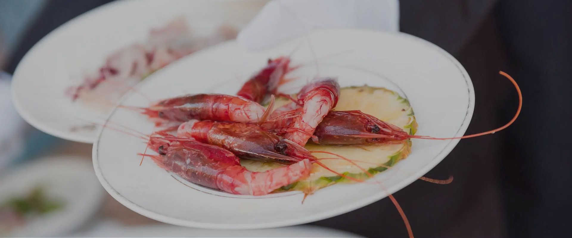 Diseño sin título - 2024-08-05T185544.447